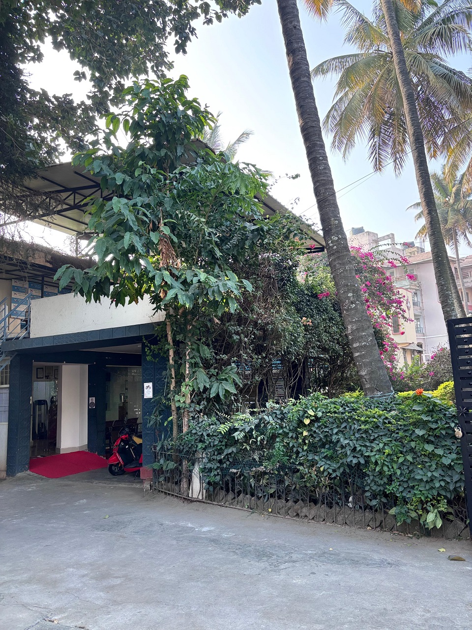 WhatsApp Image 2025-12-26 at 7.47.11 PM